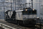 20100208-03.jpg