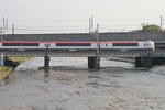 20100313-02.jpg