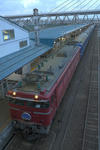 20100406-02.jpg