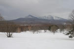20100406-12.jpg
