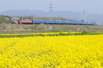 20100418-01.jpg