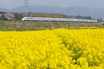 20100418-03.jpg