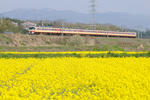 20100418-04.jpg