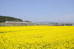 20100418-05.jpg