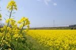 20100418-07.jpg