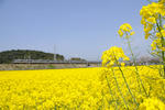 20100418-08.jpg