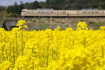 20100418-09.jpg
