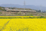 20100418-10.jpg