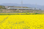 20100418-11.jpg