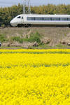 20100418-12.jpg