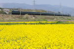 20100418-13.jpg