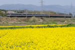 20100418-14.jpg
