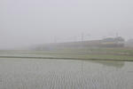 20100523-01.jpg