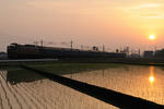 20100523-02.jpg