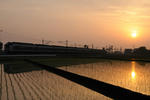 20100523-03.jpg