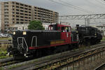 20100629-01.jpg
