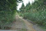 20100919-04.jpg