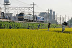 20101004-01.jpg