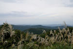 20101107-01.jpg