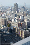 20101118-02.jpg