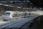20110119-02.jpg