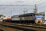 20110130-02.jpg