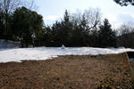 20110209-03.jpg