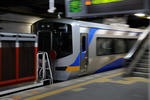 20110210-01.jpg