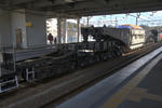 20110305-04.jpg