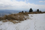 20110328-01.jpg