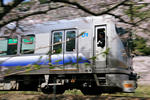 20110413-02.jpg