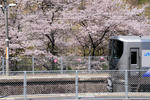 20110413-03.jpg