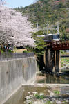 20110413-05.jpg