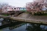 20110415-01.jpg