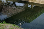 20110415-02.jpg