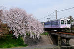 20110415-03.jpg
