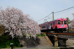 20110415-04.jpg