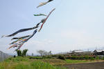 20110508-01.jpg