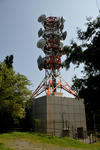 20110731-03.jpg