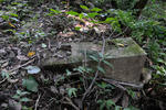 20110818-03.jpg