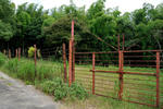 20110823-02.jpg