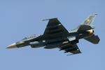 20111211-11.jpg