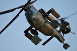20120117-13.jpg