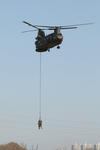 20120117-26.jpg