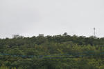 20120325-01.jpg