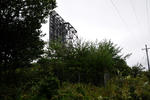 20120325-03.jpg