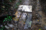 20120325-06.jpg