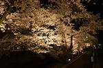 20120409-03.jpg