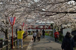 20120409-02.jpg