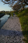 20120414-01.jpg